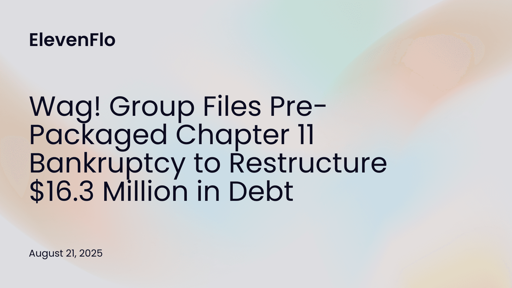 Hero image for Wag! Files Chapter 11 Bankruptcy, Retriever Takes Control